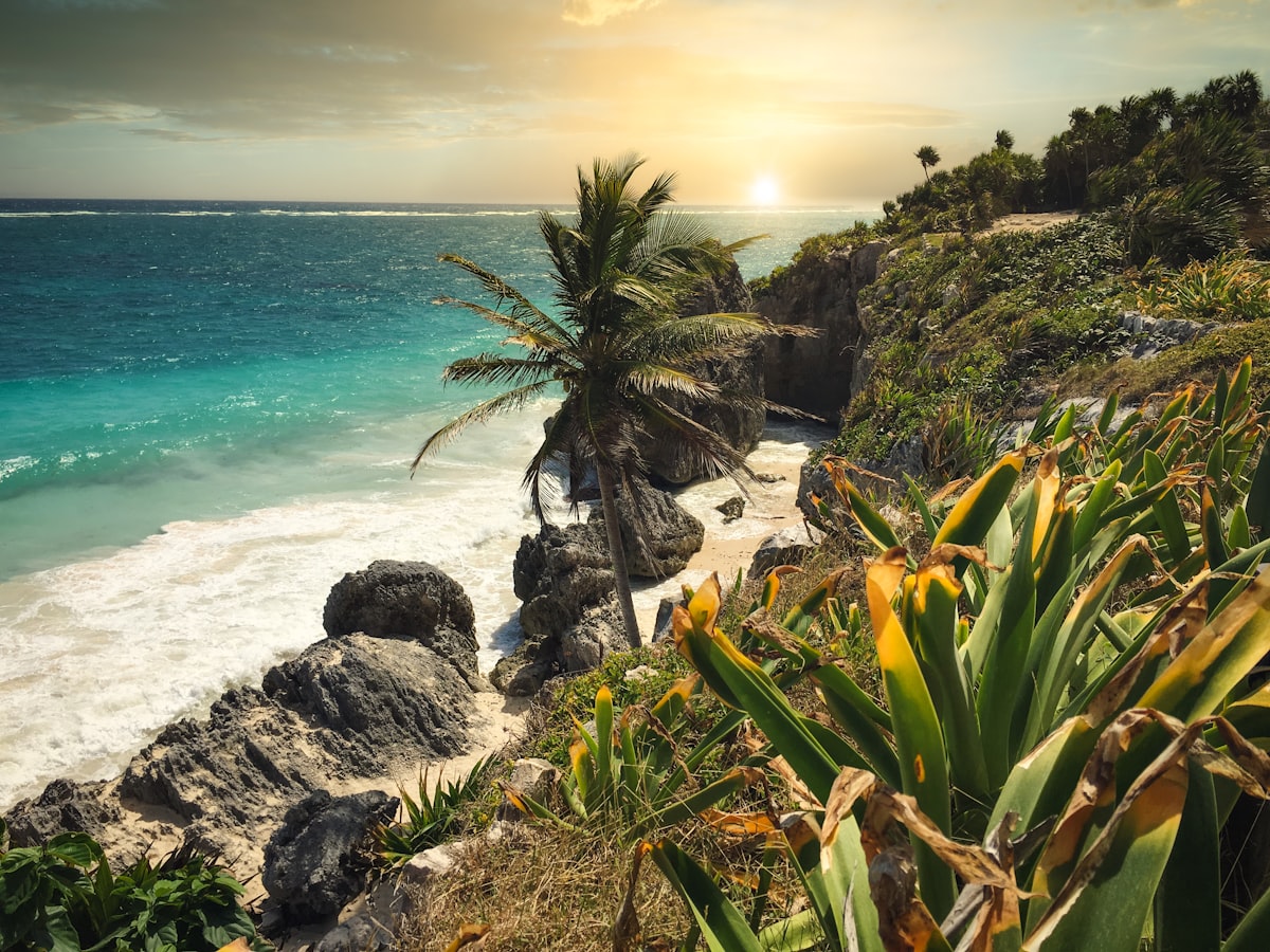 The Celebration Trip
